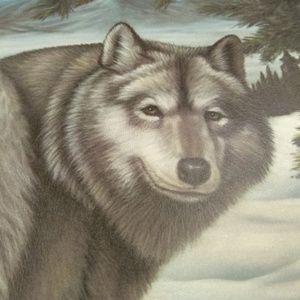 COPY - Tundra Wolf II By Harold Rigsby 455/975 Si…